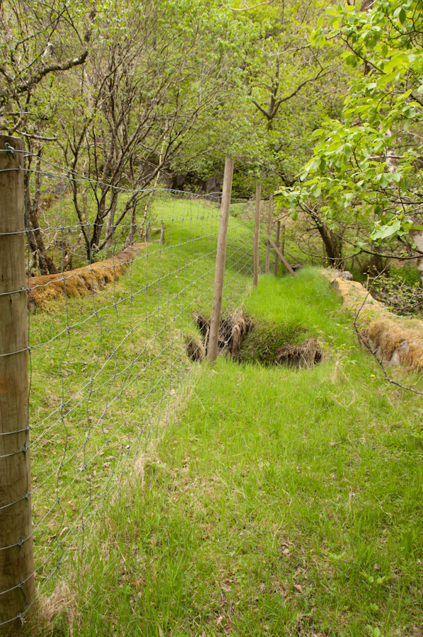 Allt Doe Bridge